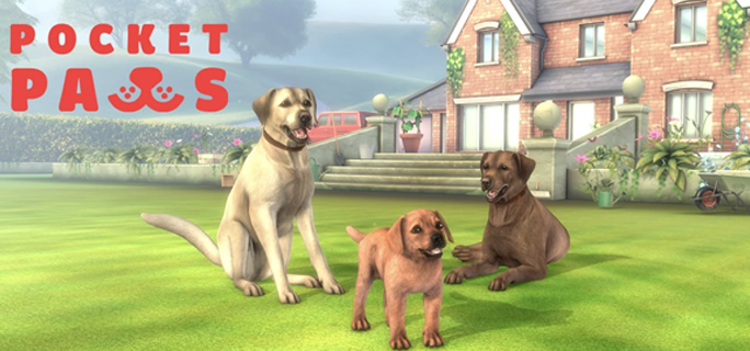 Pocket Paws: My lovely dogs